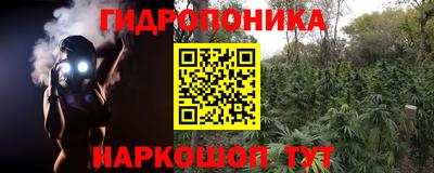 ГАЛЛЮЦИНОГЕННЫЕ ГРИБЫ Гатчина